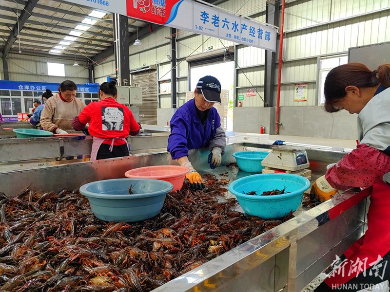 海鲜盛宴背后的镇江水产批发业