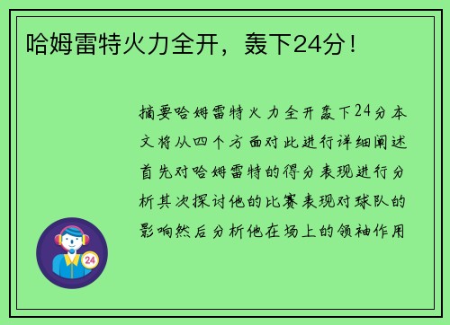 哈姆雷特火力全开，轰下24分！
